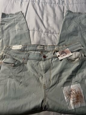 Soft Sculpt Light Mint Jeans